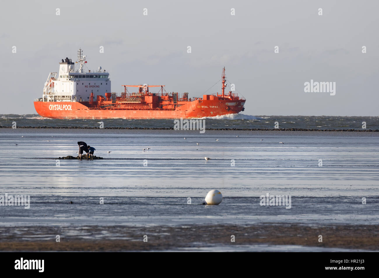 Freight ship in the Wadden Sea, Cuxhaven, Lower Saxony, Germany, Europe Stock Photo