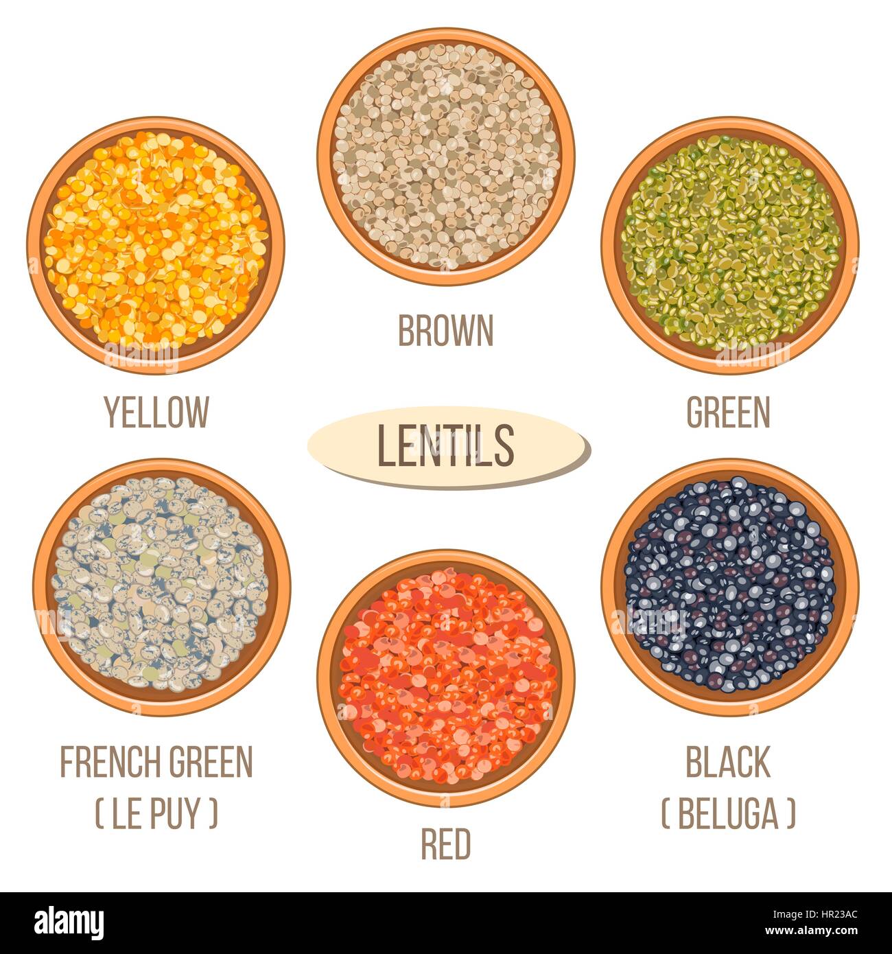 Different types of lentils in ceramic bowls (yellow, brown, green, red, french green, black lentils. Vector illustration. For culinary, shop, restaura Stock Vector
