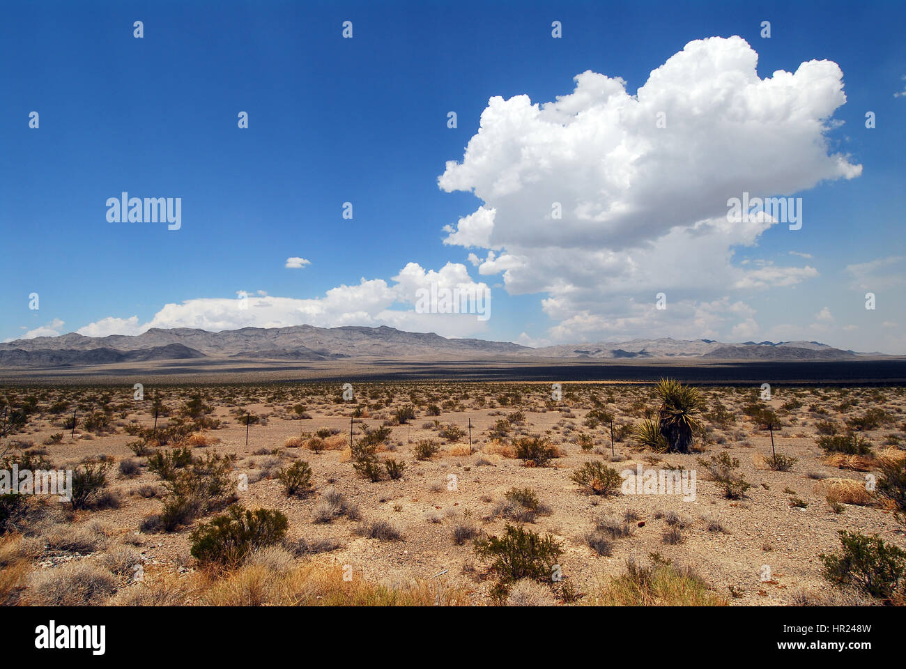 Highway of death desert storm hi-res stock photography and images - Alamy