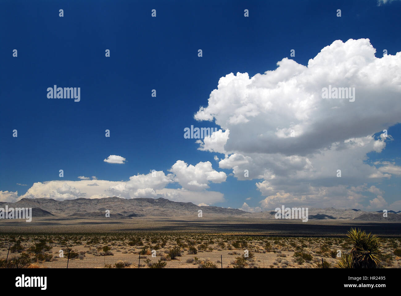 Highway of death desert storm hi-res stock photography and images - Alamy