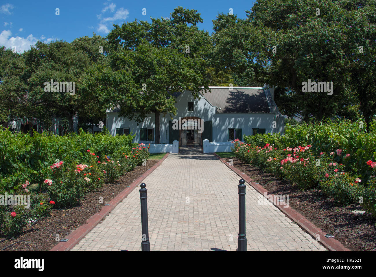 La Motte Winery, Franschhoek Valley, Cape Winelands, South Africa Stock