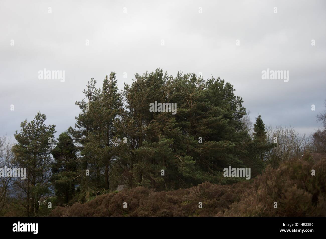 Cold rainy night in stoke hires stock photography and images Alamy