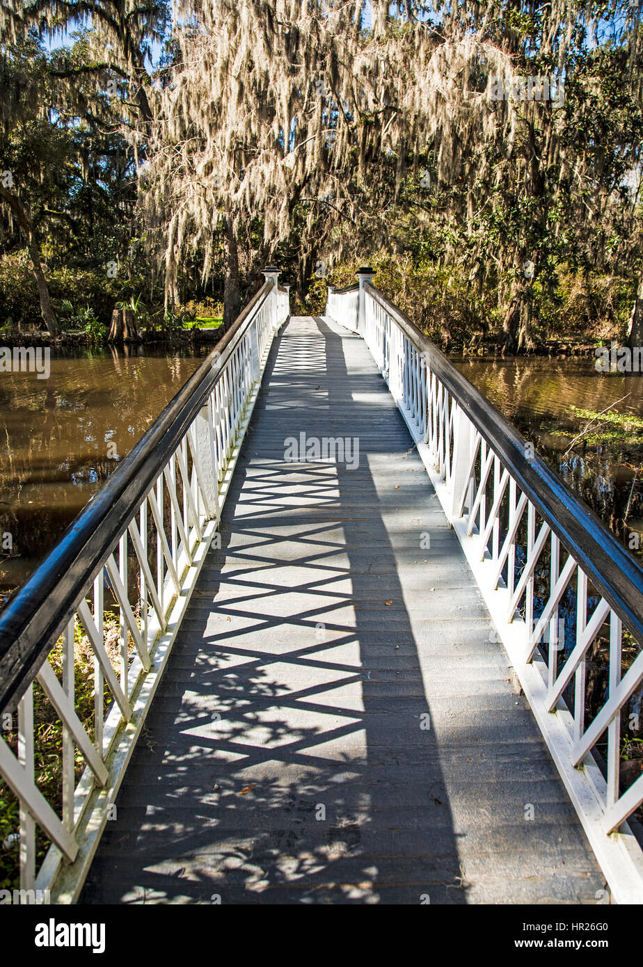White garden bridge at the Magnolia plantation and gardens in
