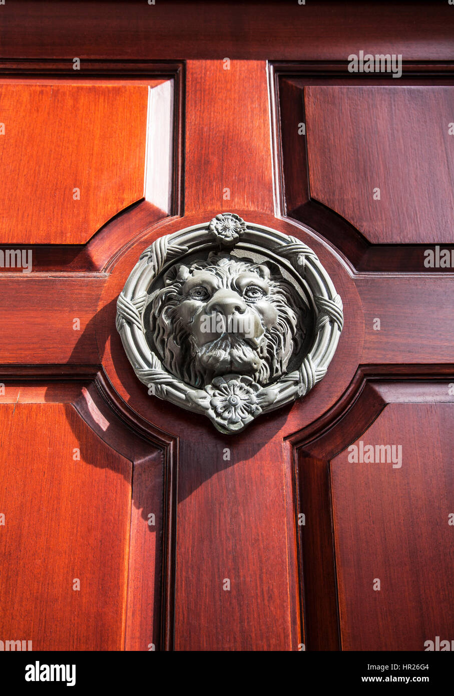 Lion door knocker on a closed wooden front door pt in historic Charleston house,  South Carolina, USA, America Stock Photo