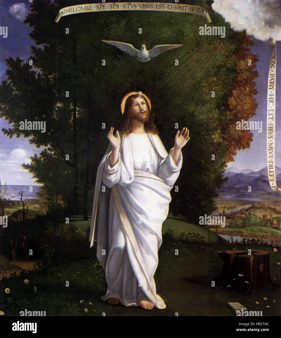 Andrea Previtali 004 Stock Photo Alamy