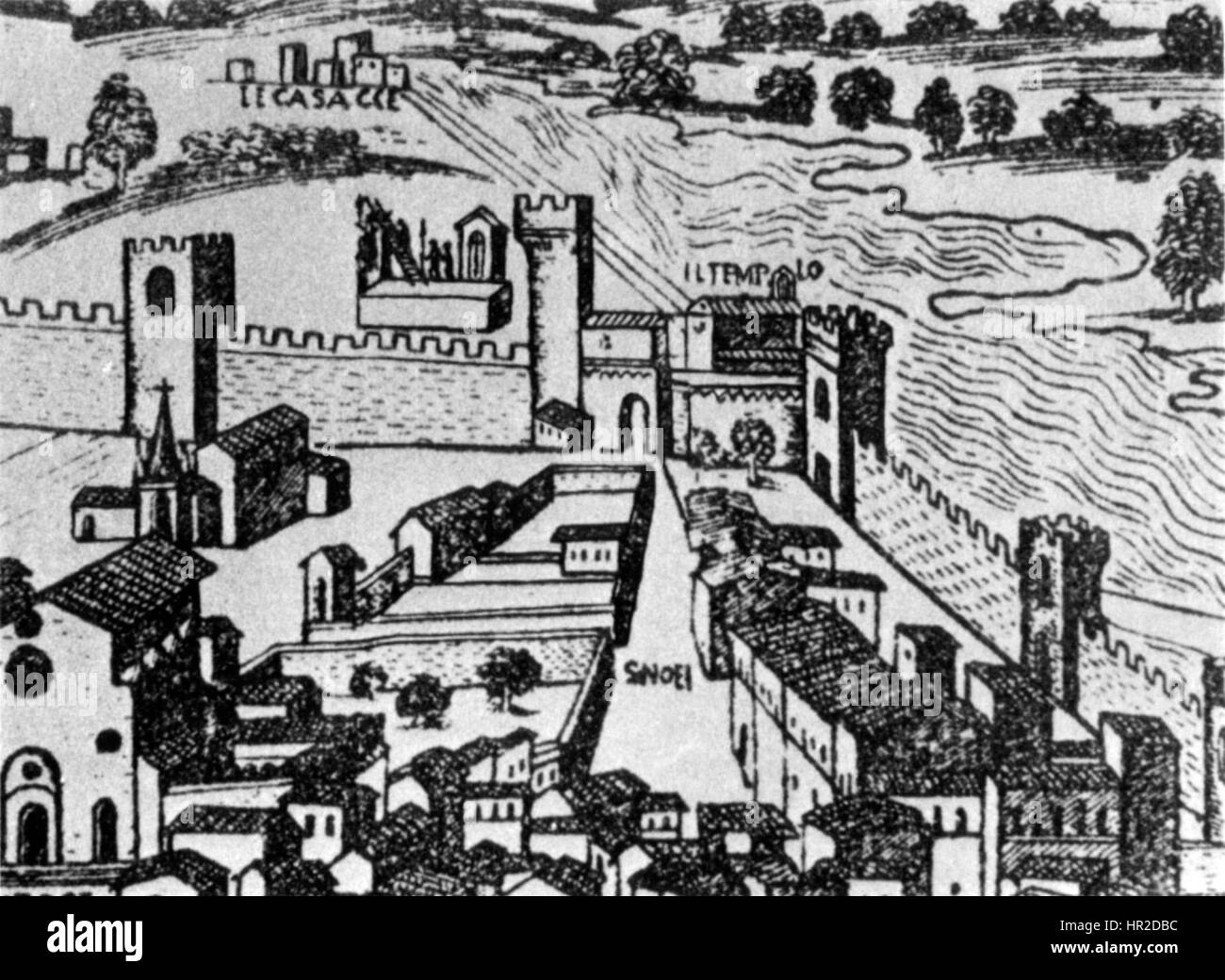 Pianta catena hires stock photography and images Alamy