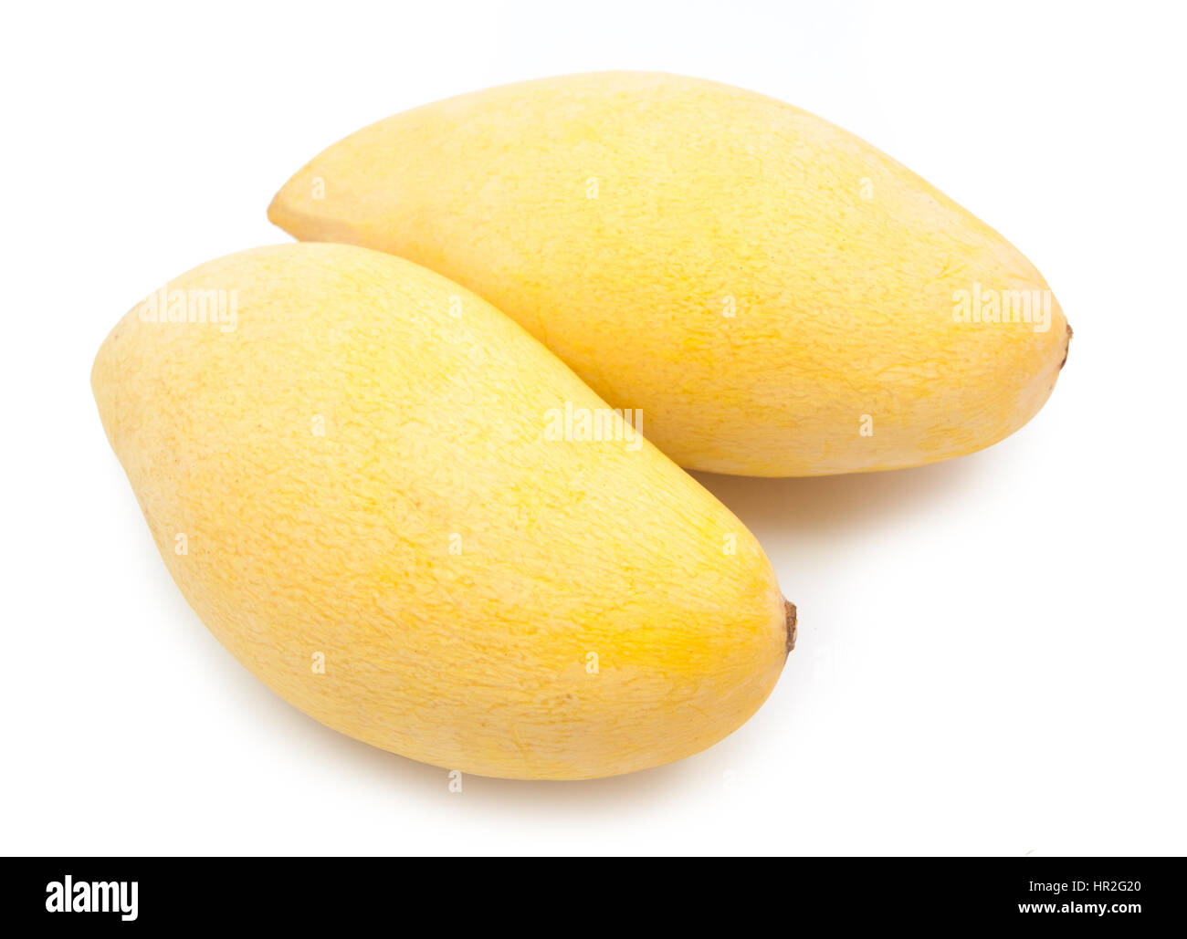 Желтый манго. Манго (сорт кат чу). Манго фрукт желтый. Манго тайланд. Желтый манго.