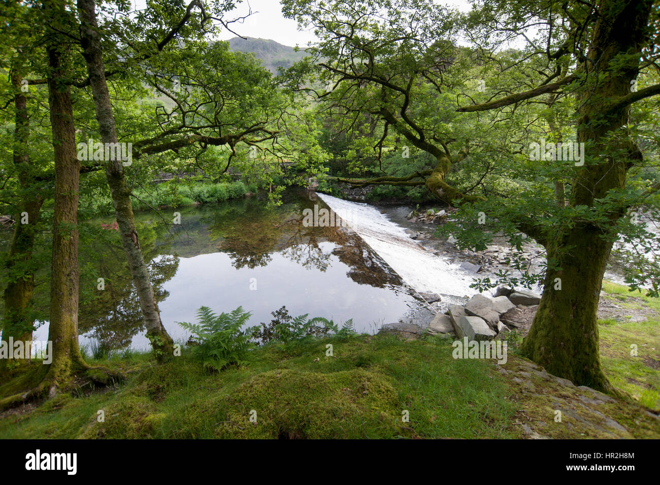Scenic view of river Rothay and weir, Lake District National Park, UK Stock Photo