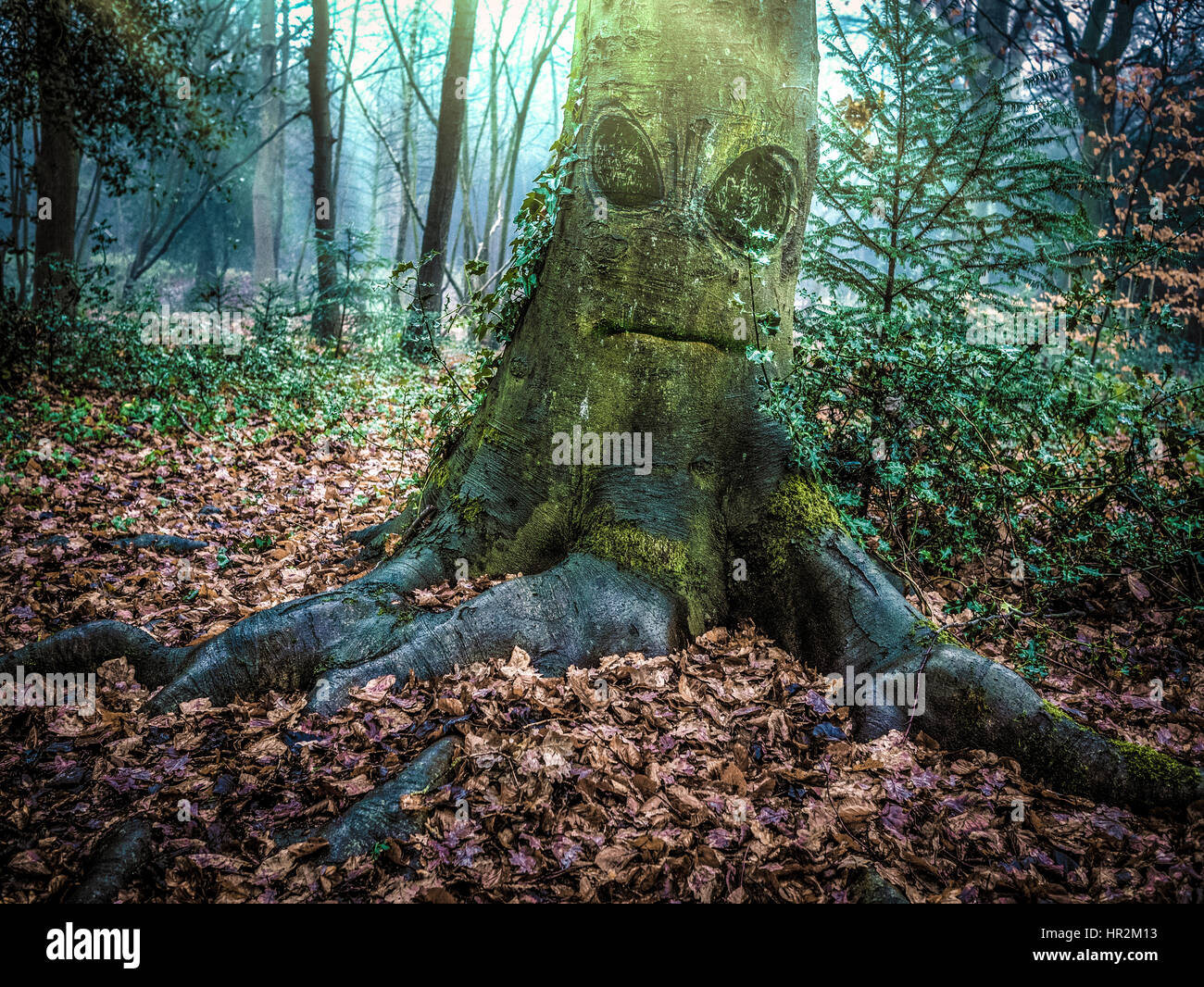 Monster Tree High Resolution Stock Photography And Images Alamy