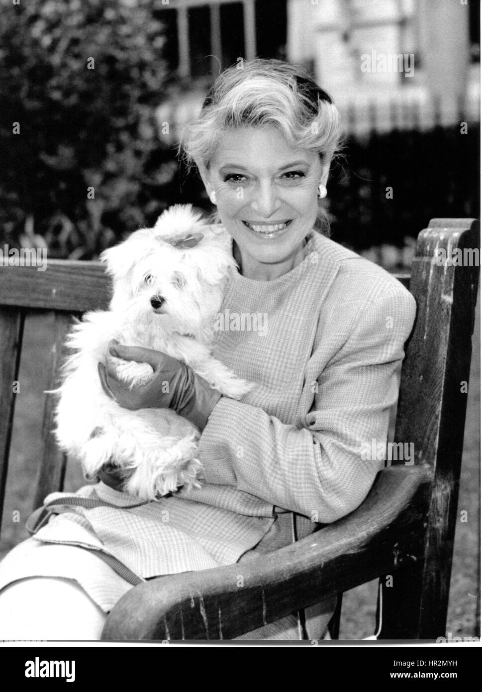 What Do You Call A Small Dog