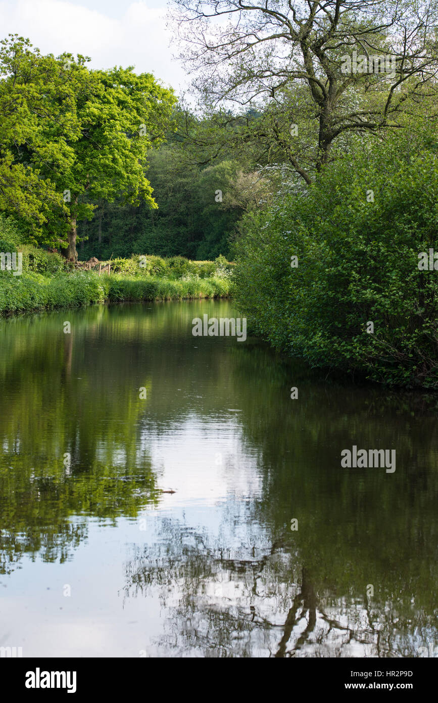 Caldon canal on a warm spring day, Staffordshire Stock Photo