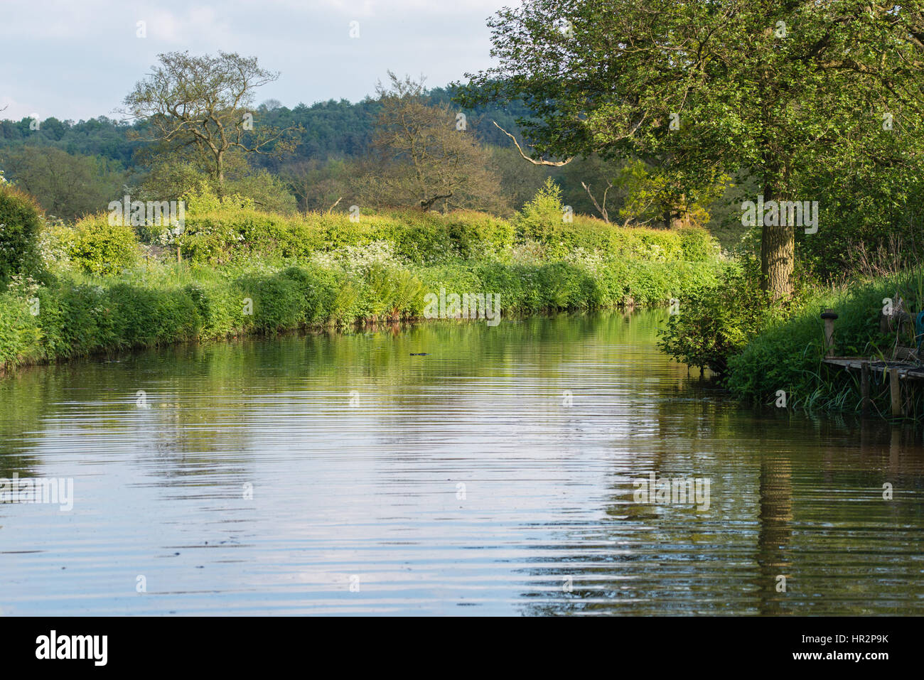 Caldon canal on a warm spring day, Staffordshire Stock Photo