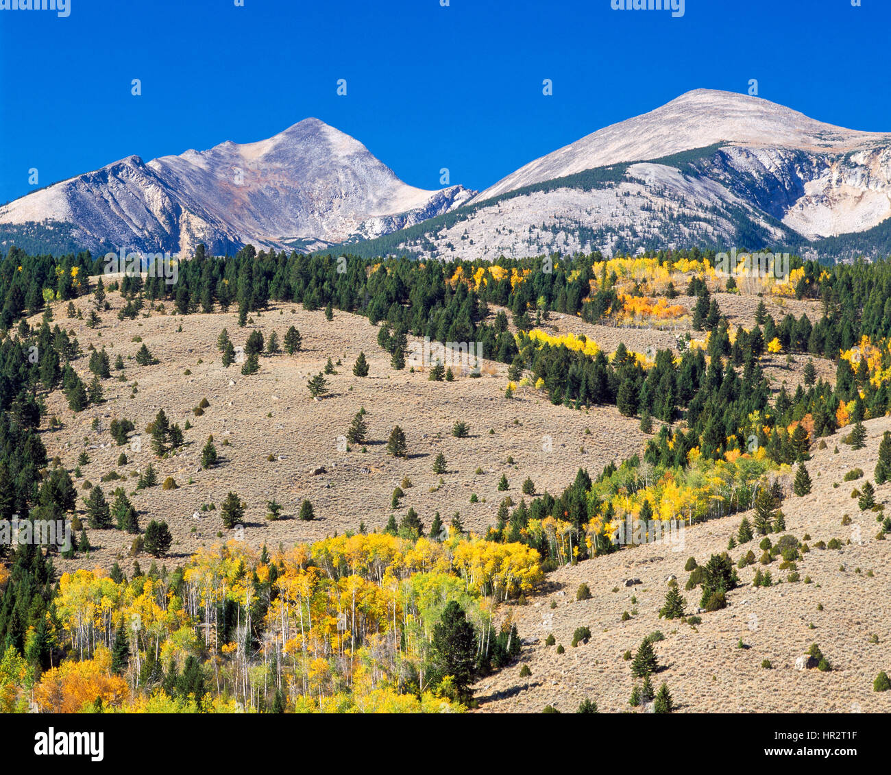 East Pioneer Mountains Stock Photos & East Pioneer Mountains Stock ...