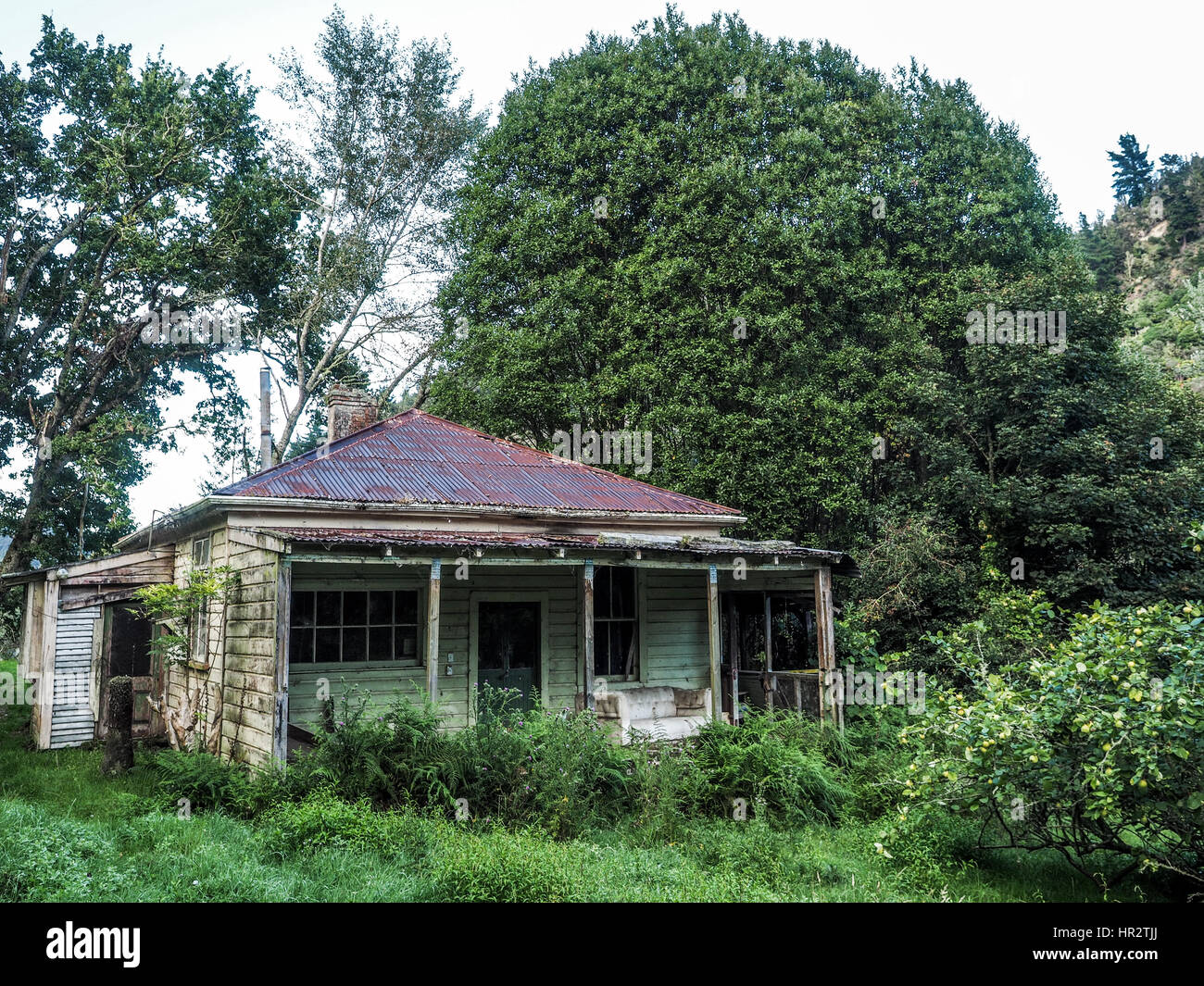 Abandoned house, Makino Valley, New Zealand. Home of 1920s pioneer settler a farm hewed out of hill country forests,  now regenerating shrub lands. Stock Photo