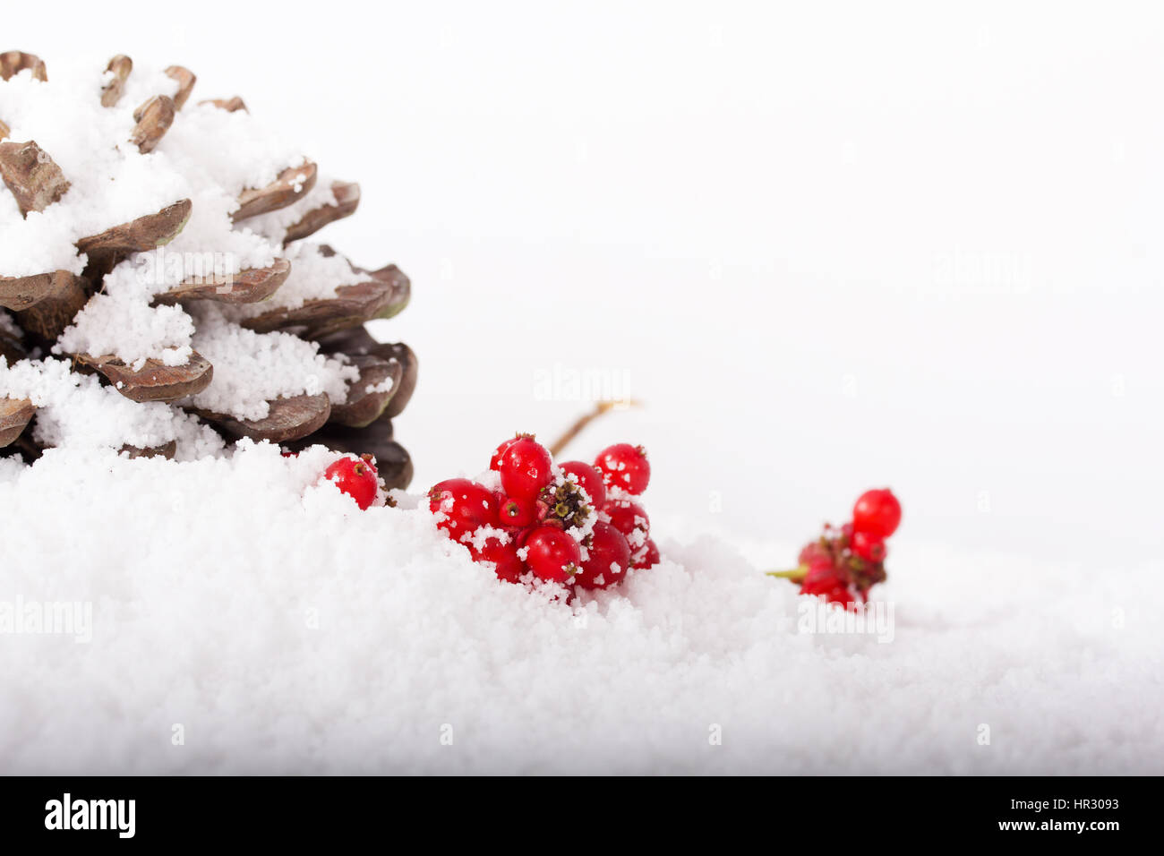 Pine cone and red berries covered in white snow Stock Photo - Alamy