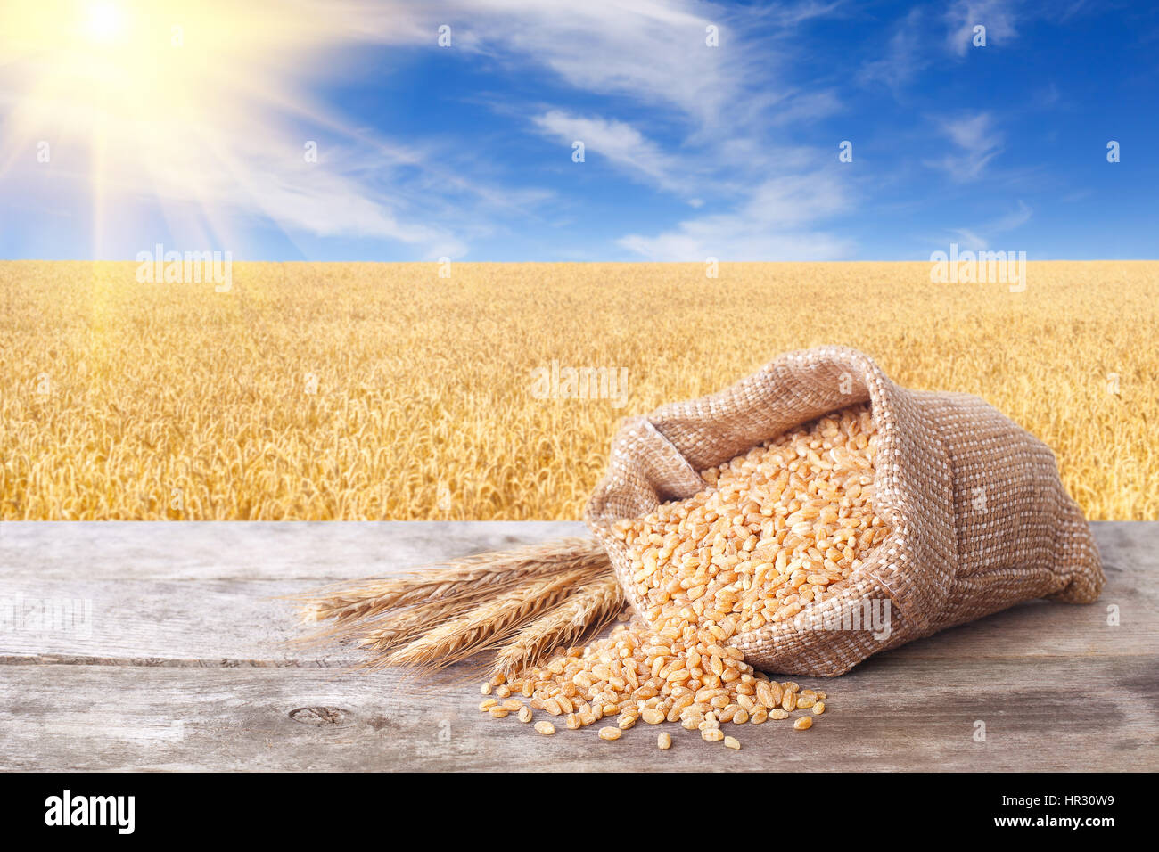 Bulgur with ripe field Stock Photo