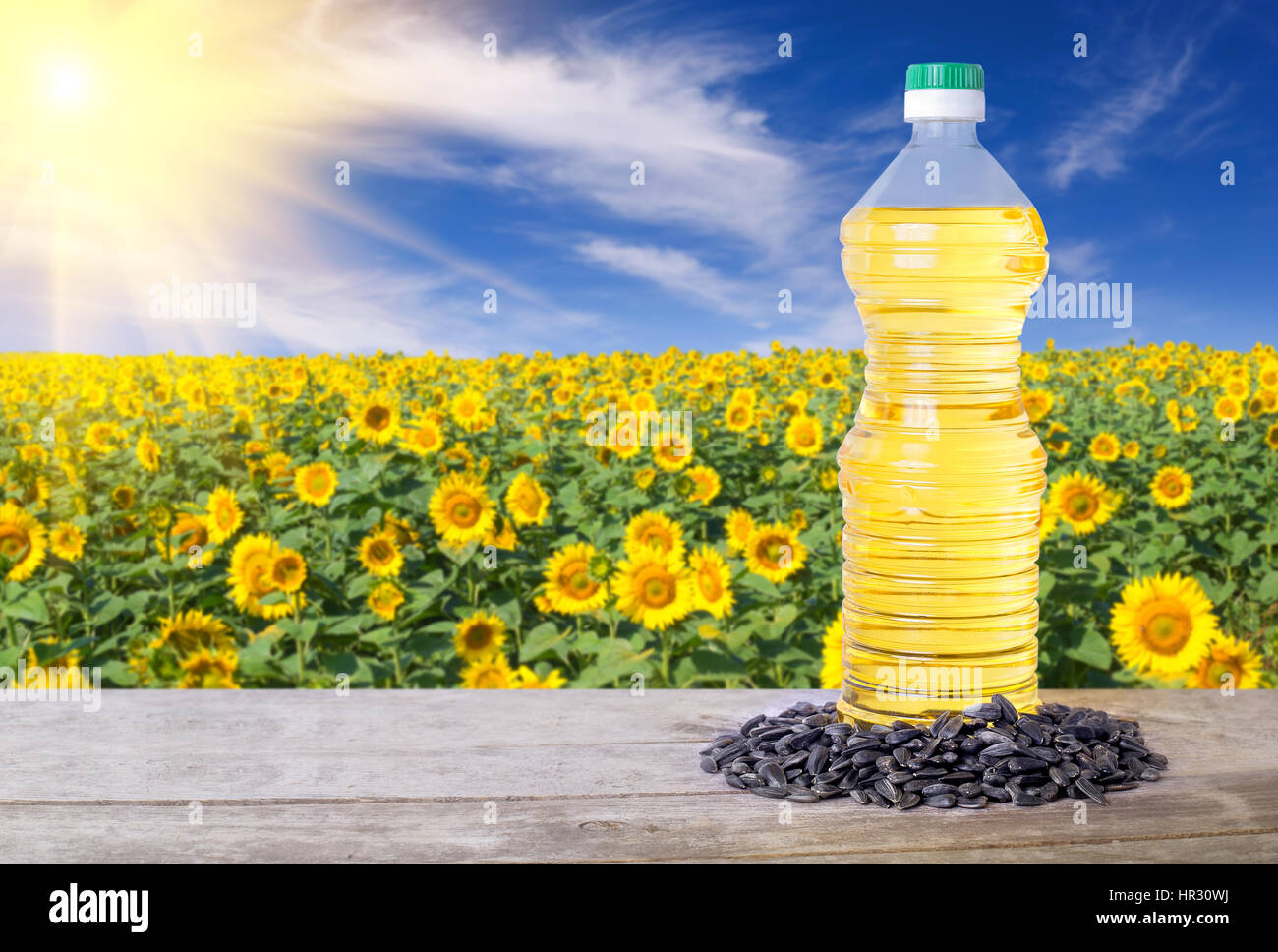 sunflower oil, seeds, field  Stock Photo