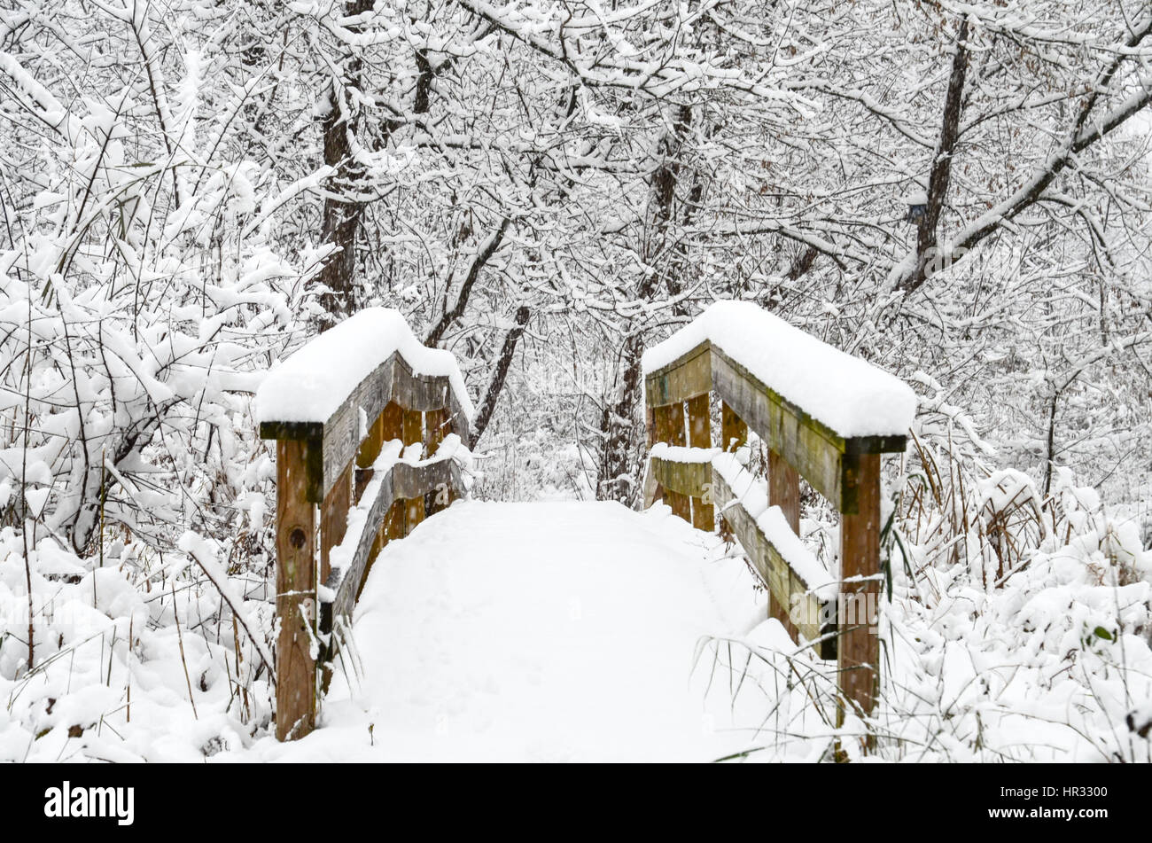 snow bridge Stock Photo