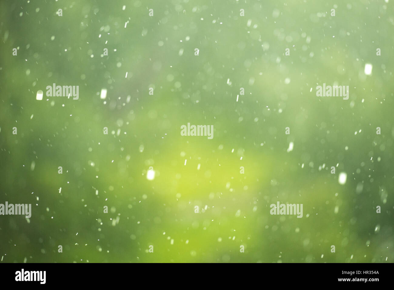 Green spring background bokeh blurred glare rain Stock Photo