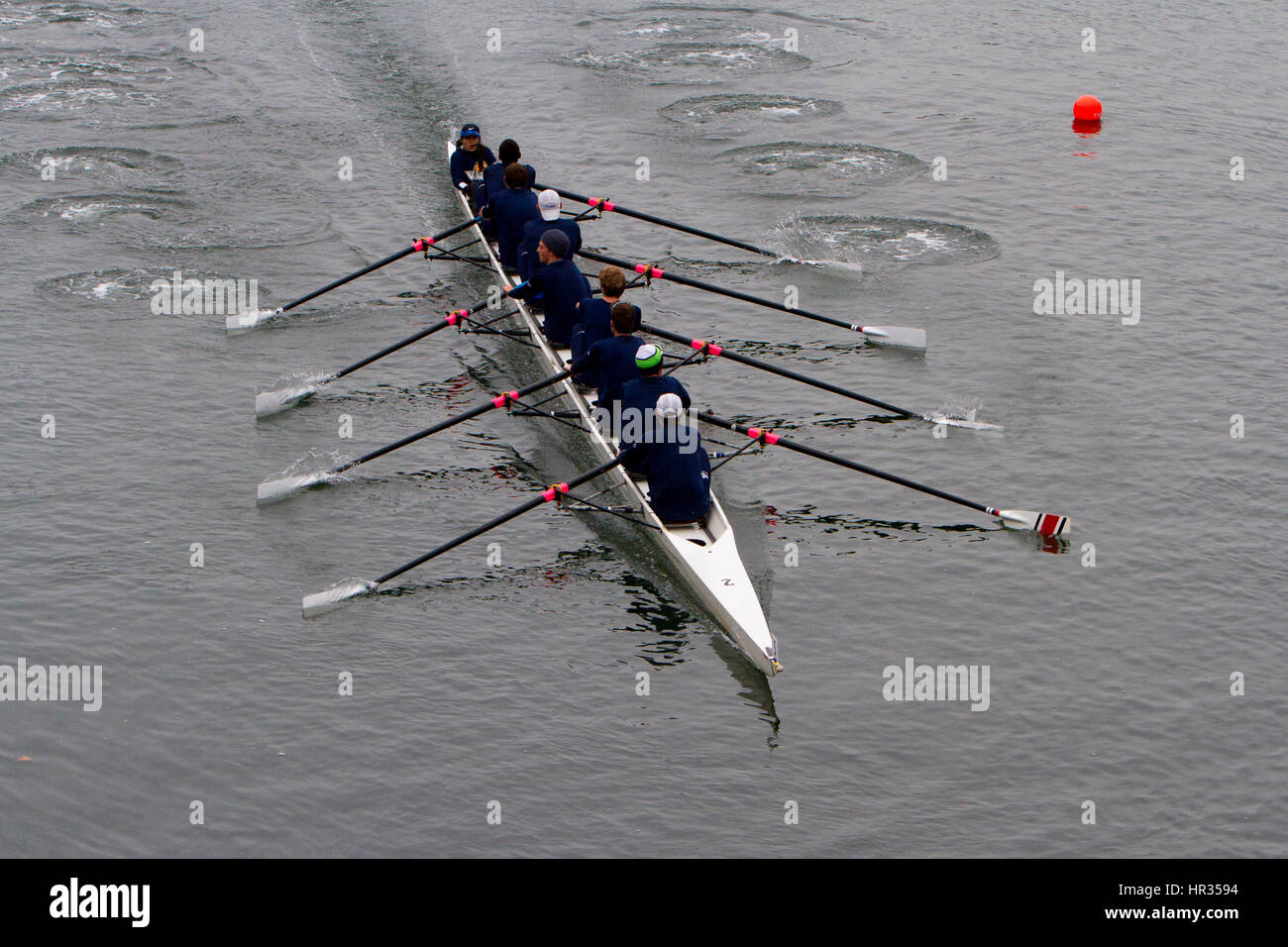 Eight rowing boat hires stock photography and images Alamy