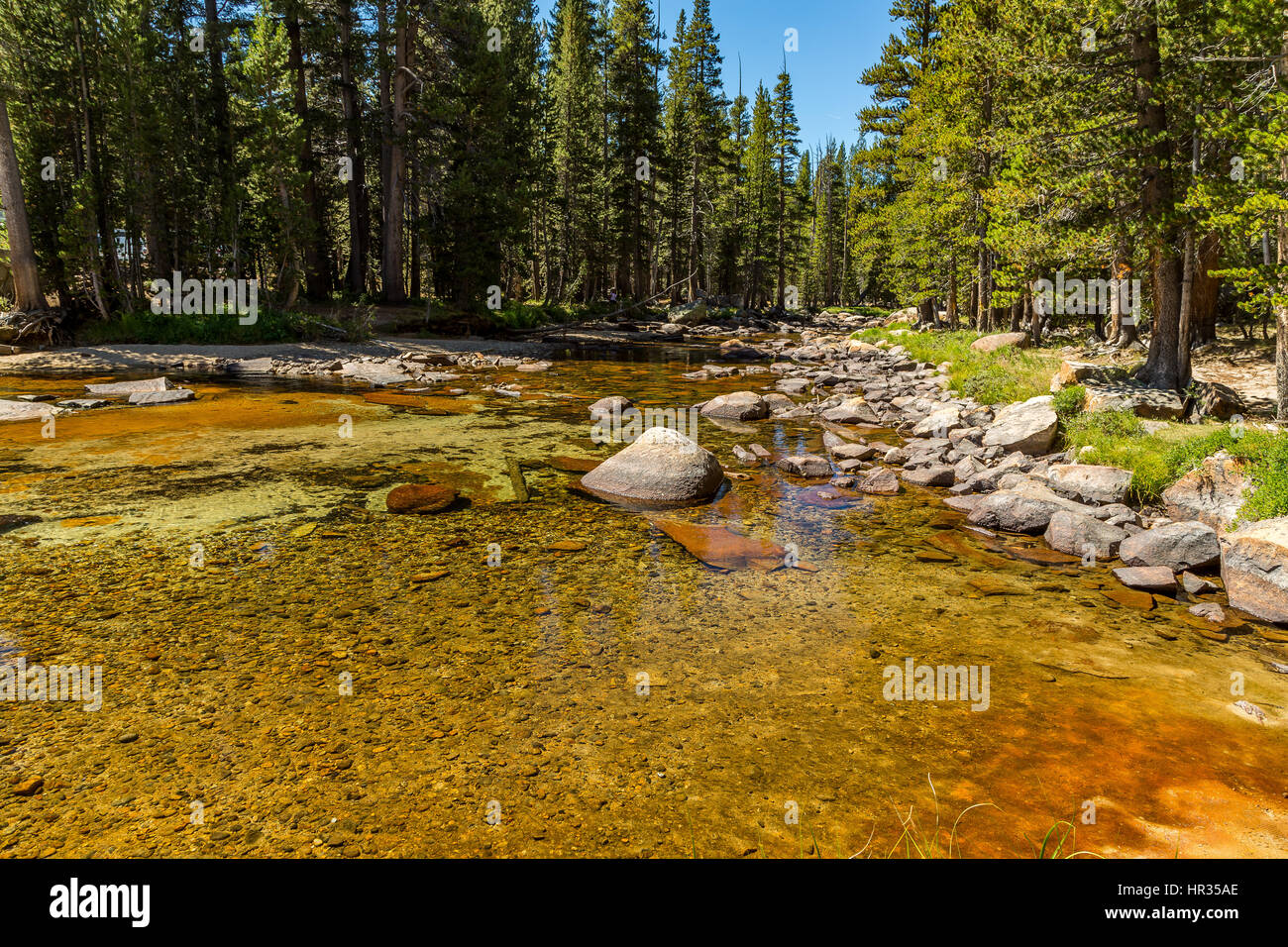 The Tuolumne River originates in Yosemite National Park, high in the