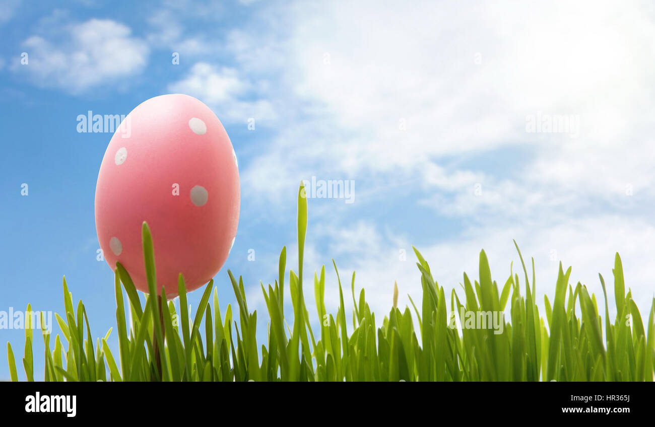 Easter egg and green grass against blue sky Stock Photo - Alamy
