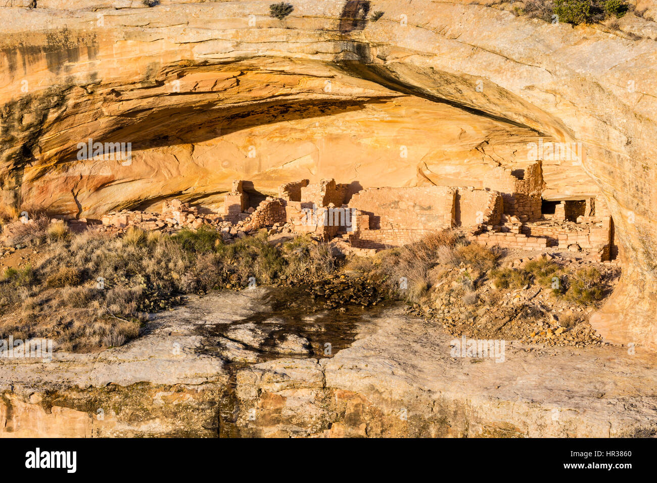 Round and square Kivas in the main alcove of cliff dwellings in the Butler Wash Ruins in Comb Ridge in the new Bears Ears National Monument in Southea Stock Photo