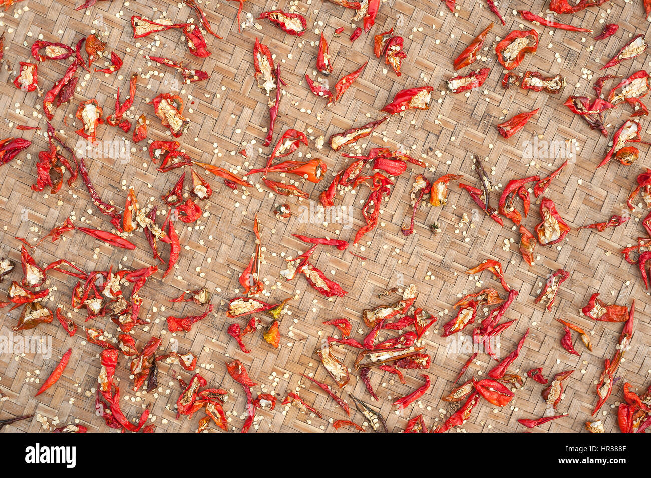Red chili peppers drying in the sun Stock Photo