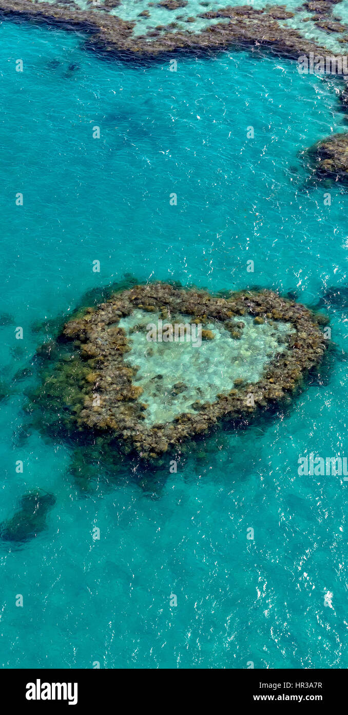 Coral Reef, Heart Reef, part of Hardy Reef, Outer Great Barrier Reef, Queensland, Australia Stock Photo