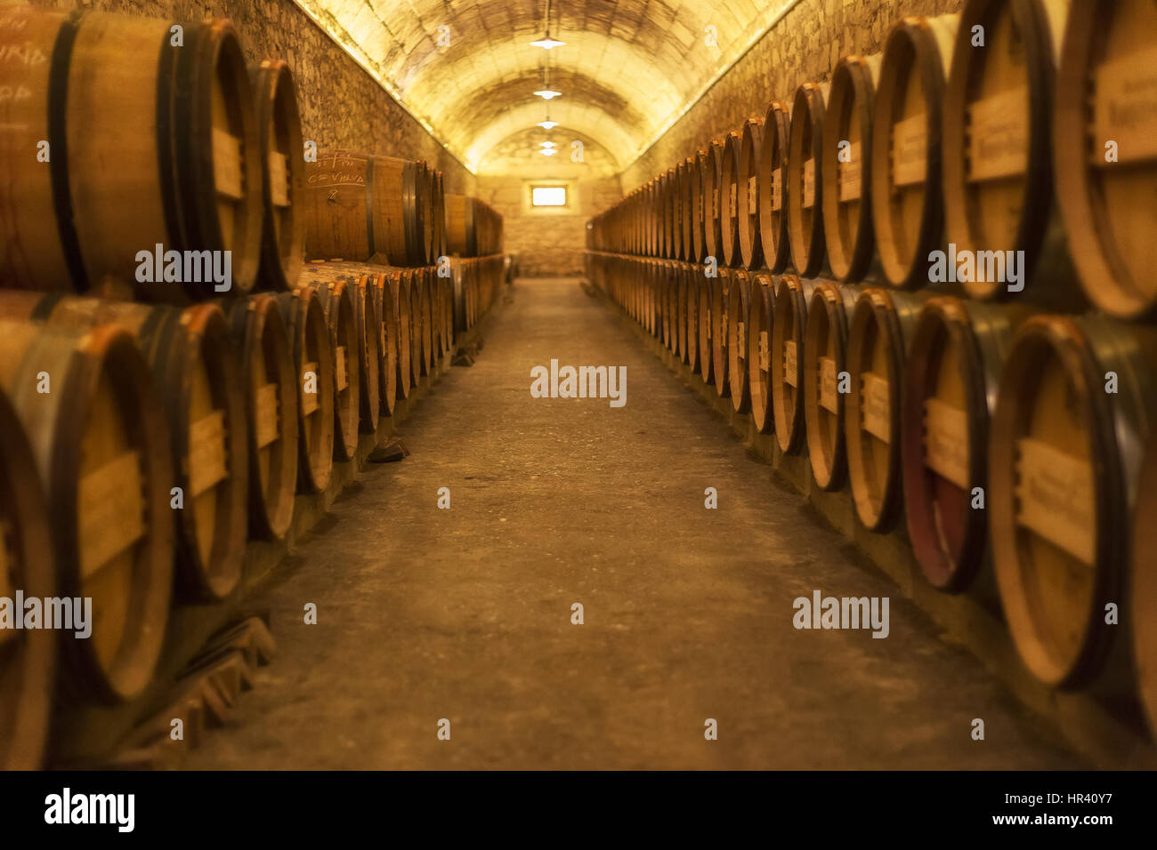 Barrel rows in a winery Stock Photo - Alamy
