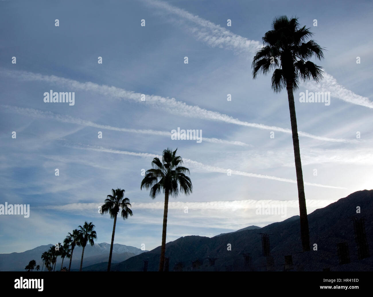 Palm trees and mountains at sunset in Palm Springs Stock Photo