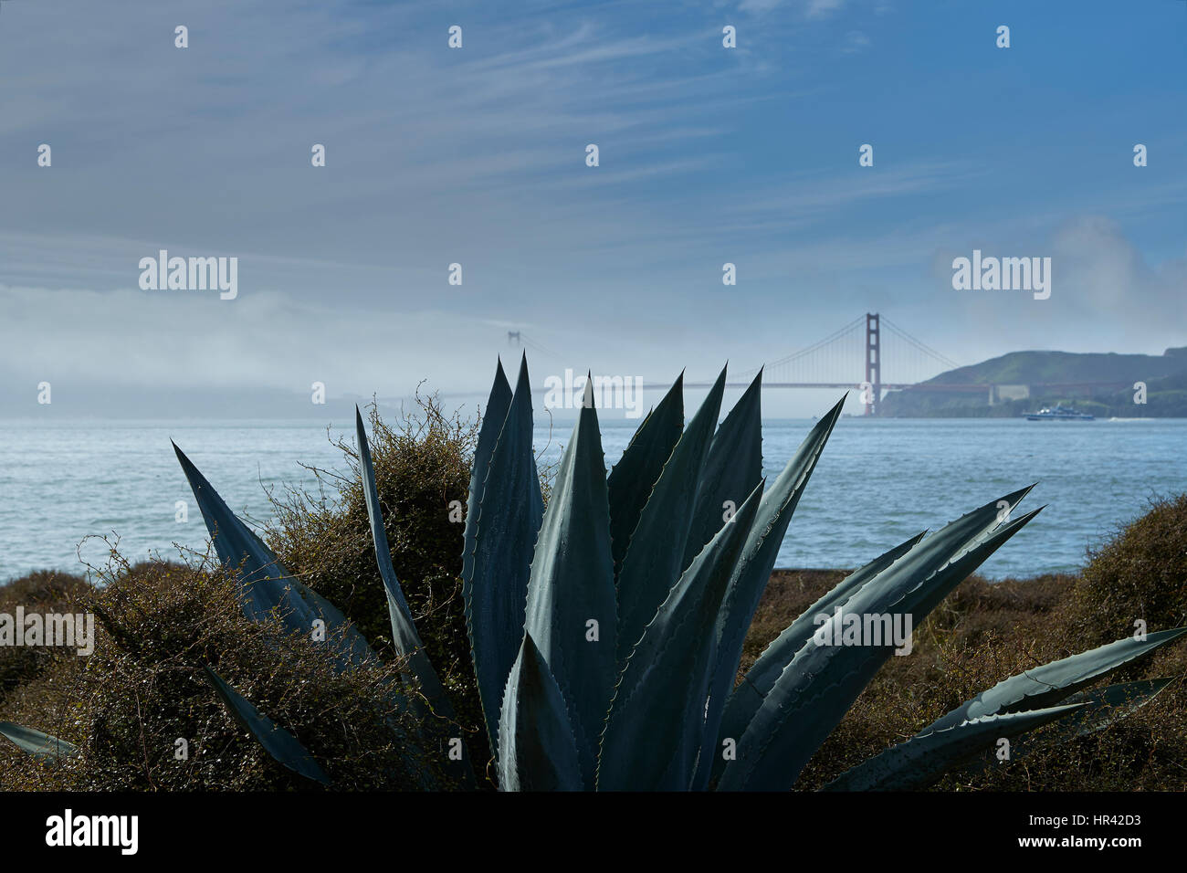 Golden Gate Bridge Viewed From Angel Island State Park, San Francisco. Stock Photo