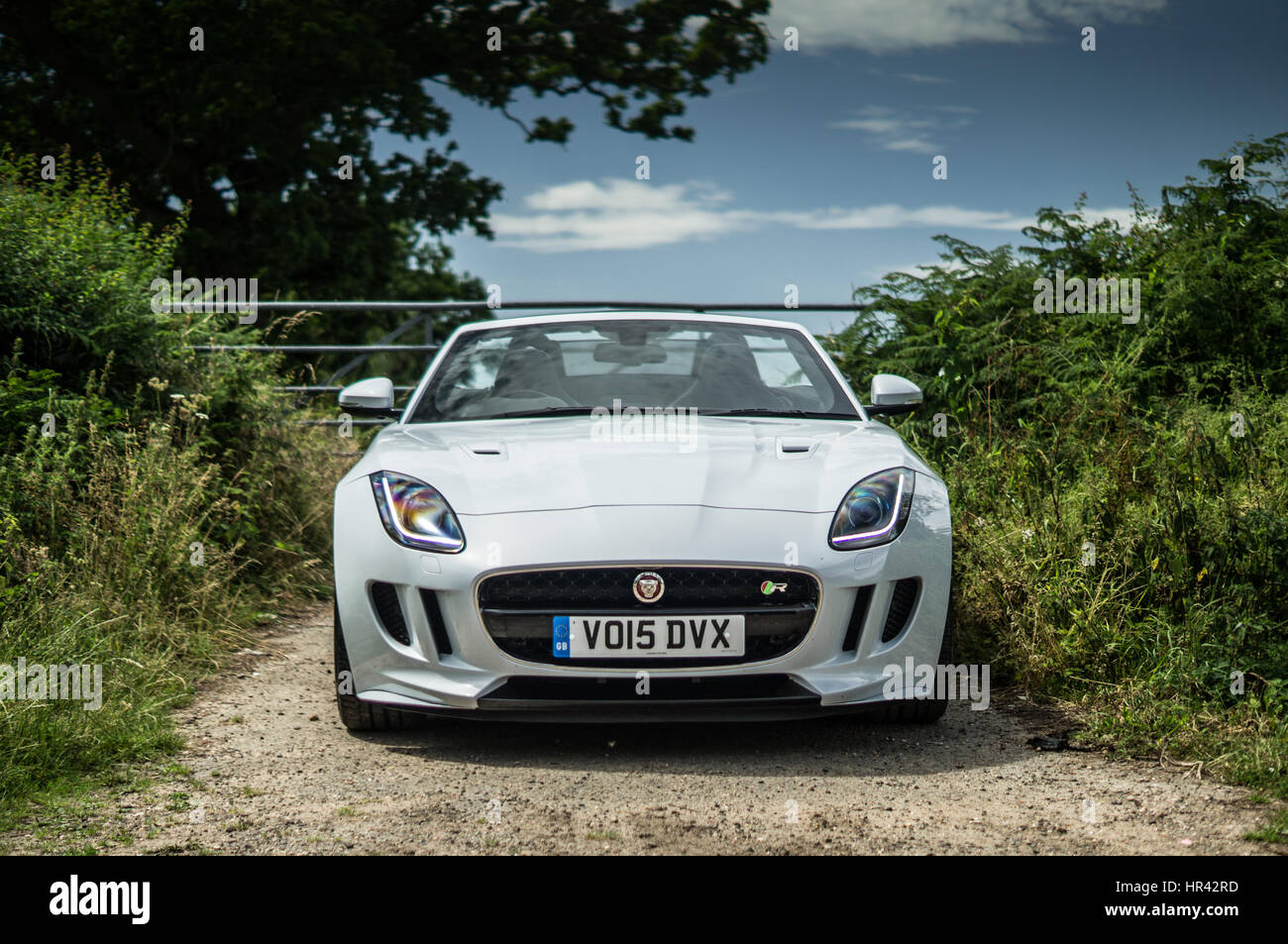 Convertible Jaguar F-Type in white, AWD R model Stock Photo - Alamy