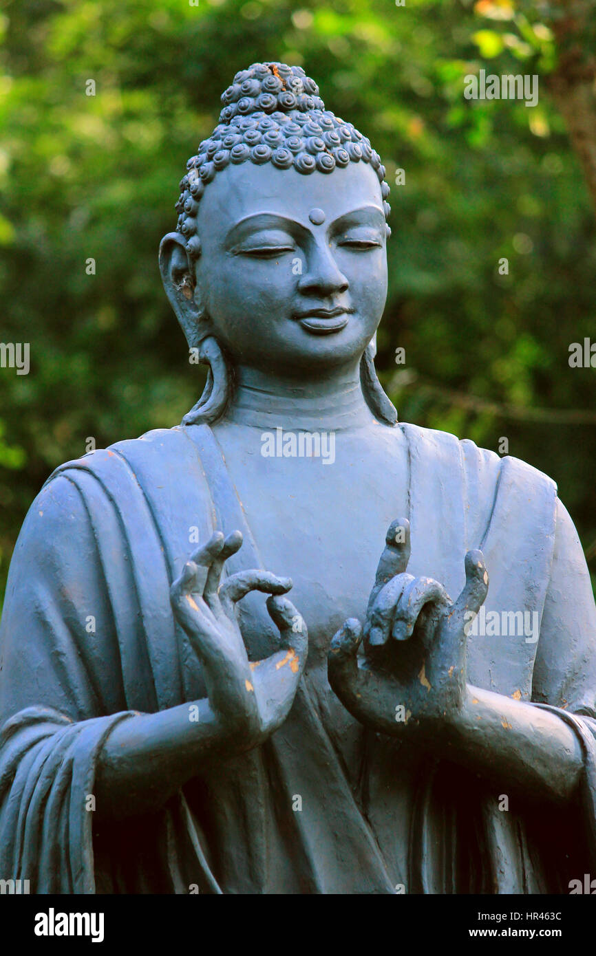 Buddha by Demi Buddha by Demi