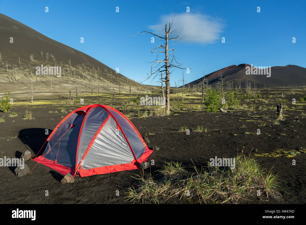 Tourist tent in Dead wood - consequence of catastrophic release of ash during the eruption of volcano in 1975 Tolbachik Stock Photo