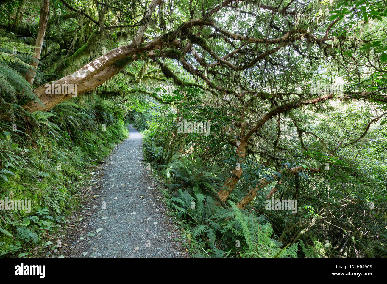 Fiordland National Park, New Zealand Stock Photo