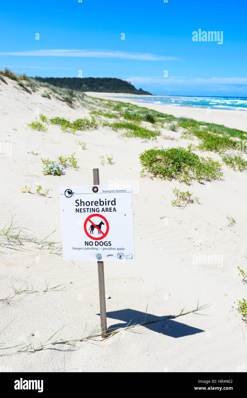 Sign warning of shorebirds nesting area on Conjola Beach, Shoalhaven, South Coast, New South Wales, NSW, Australia Stock Photo