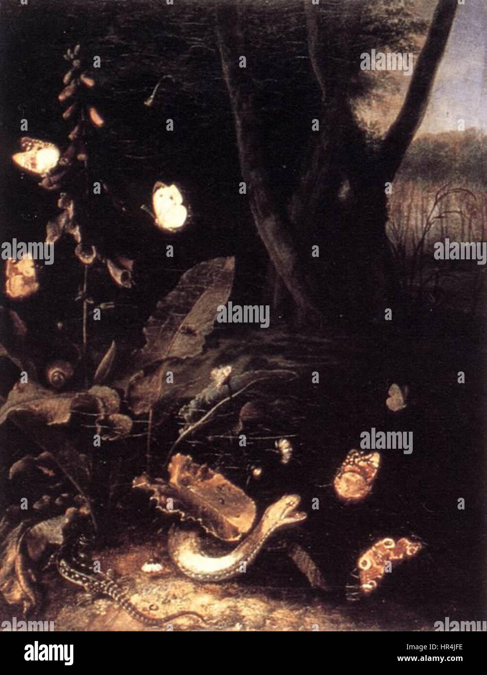 Otto Marseus van Schrieck - Still-life with Plants and Reptiles - WGA21064 Stock Photo