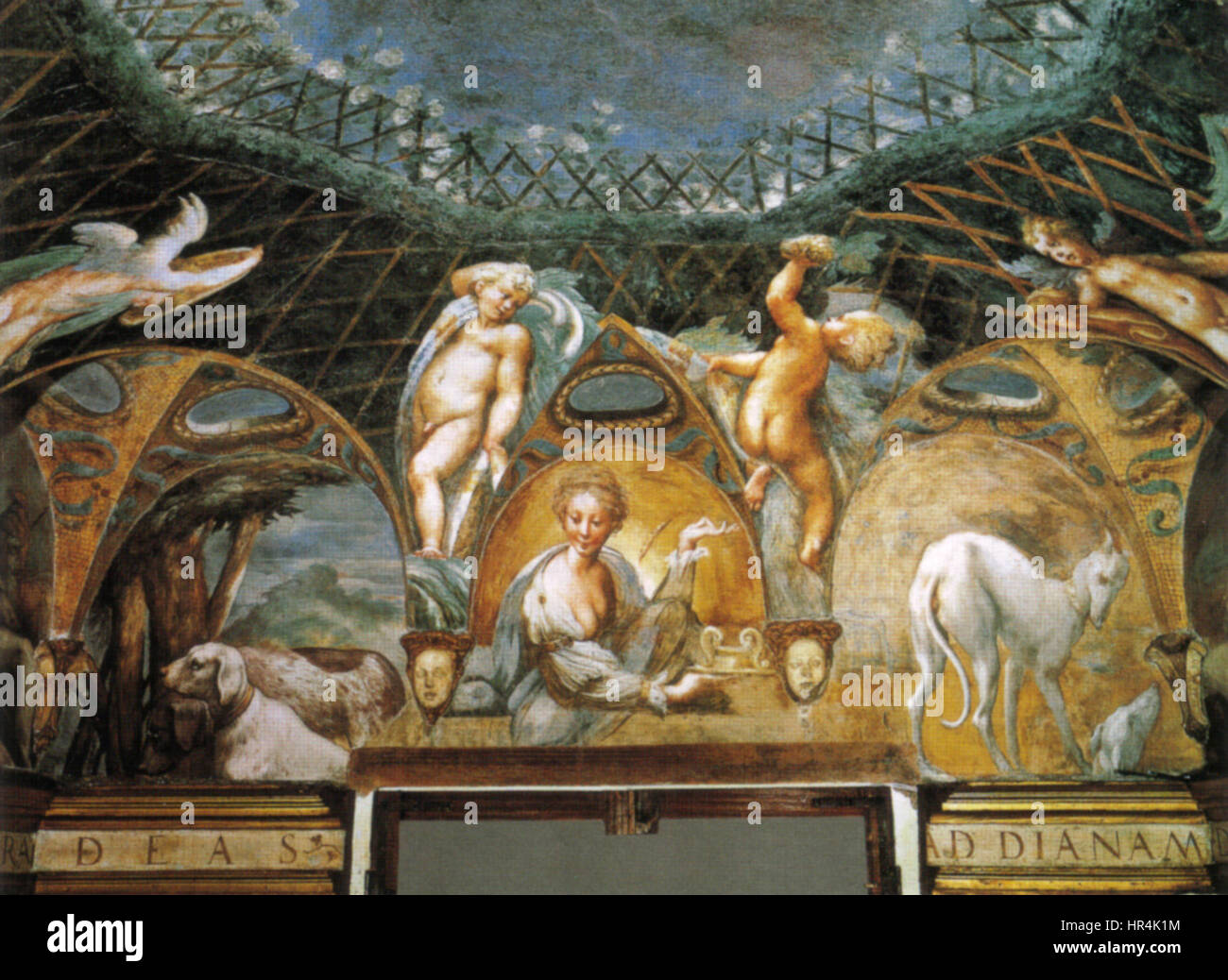 Parmigianino, affreschi di fontanellato 04 Stock Photo