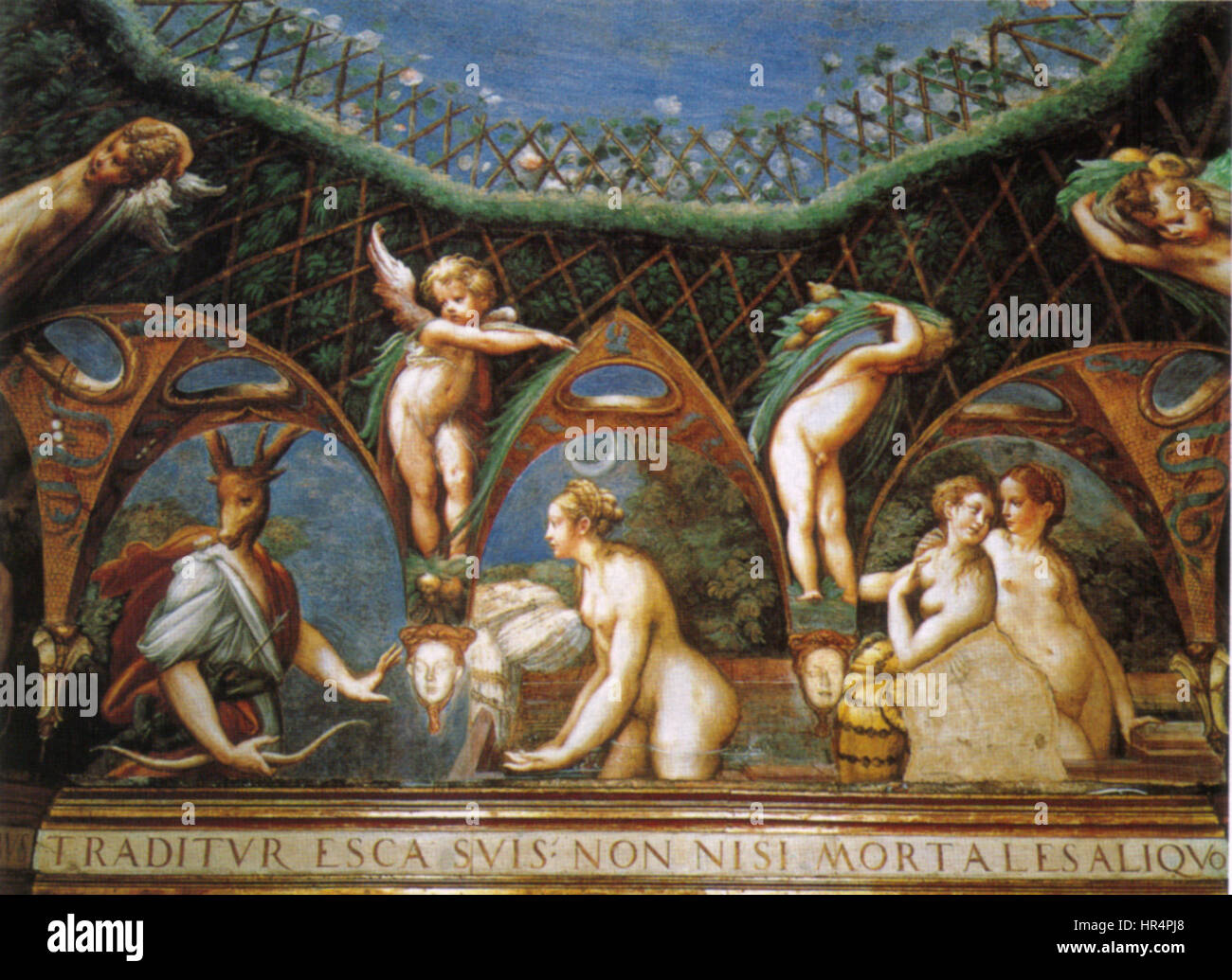 Parmigianino, affreschi di fontanellato 02 Stock Photo