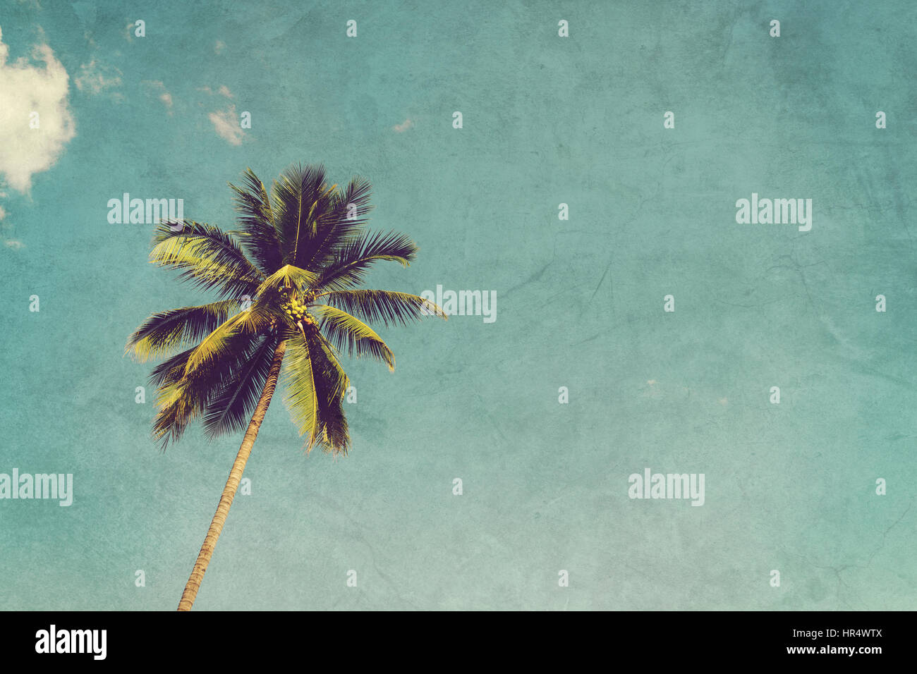 Coconut palm trees and shining sun with vintage effect. Stock Photo