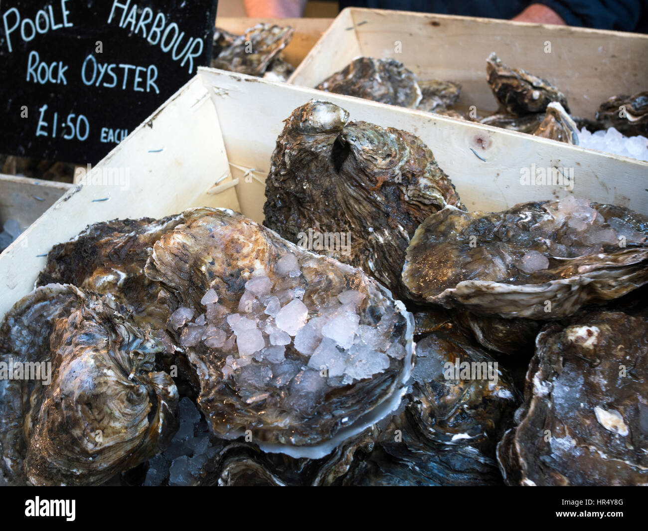 Oysters for Sale in Borough Market Stock Photo