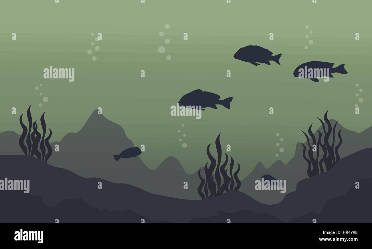 Silhouette of fish on underwater landscape Stock Vector Image & Art - Alamy