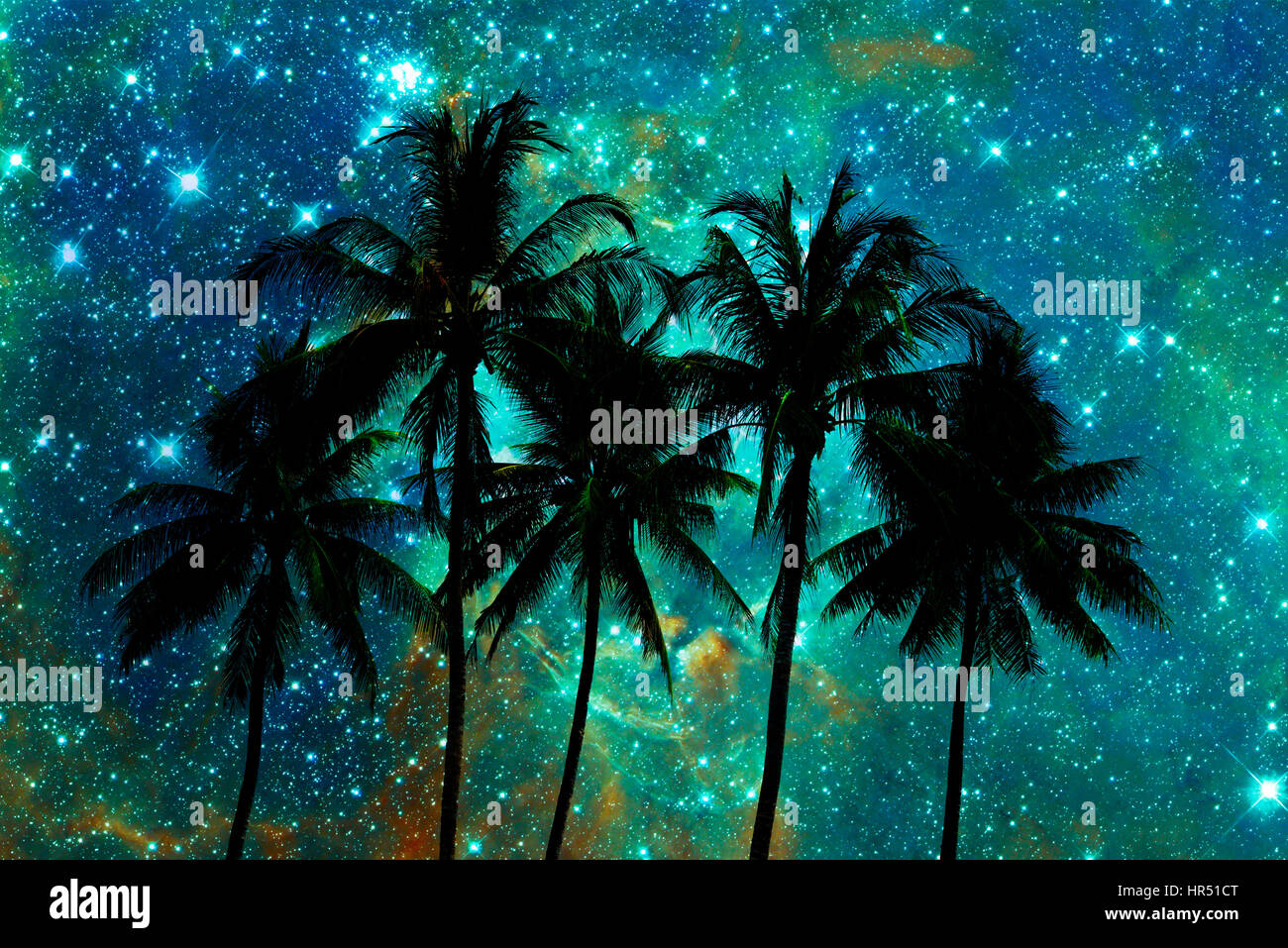 Palm trees silhouettes, starry night background Stock Photo