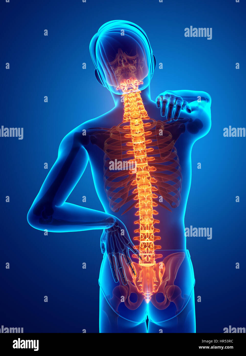 3D Illustration of male Feeling the back pain Stock Photo - Alamy
