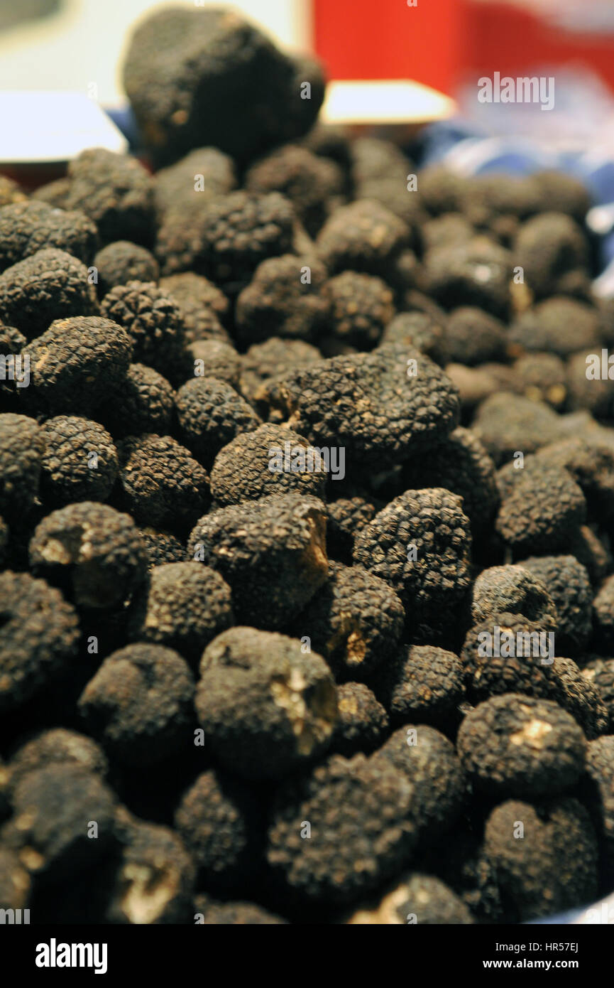 261013, Alba, Italy. White Truffle World Market. A huge quantity of