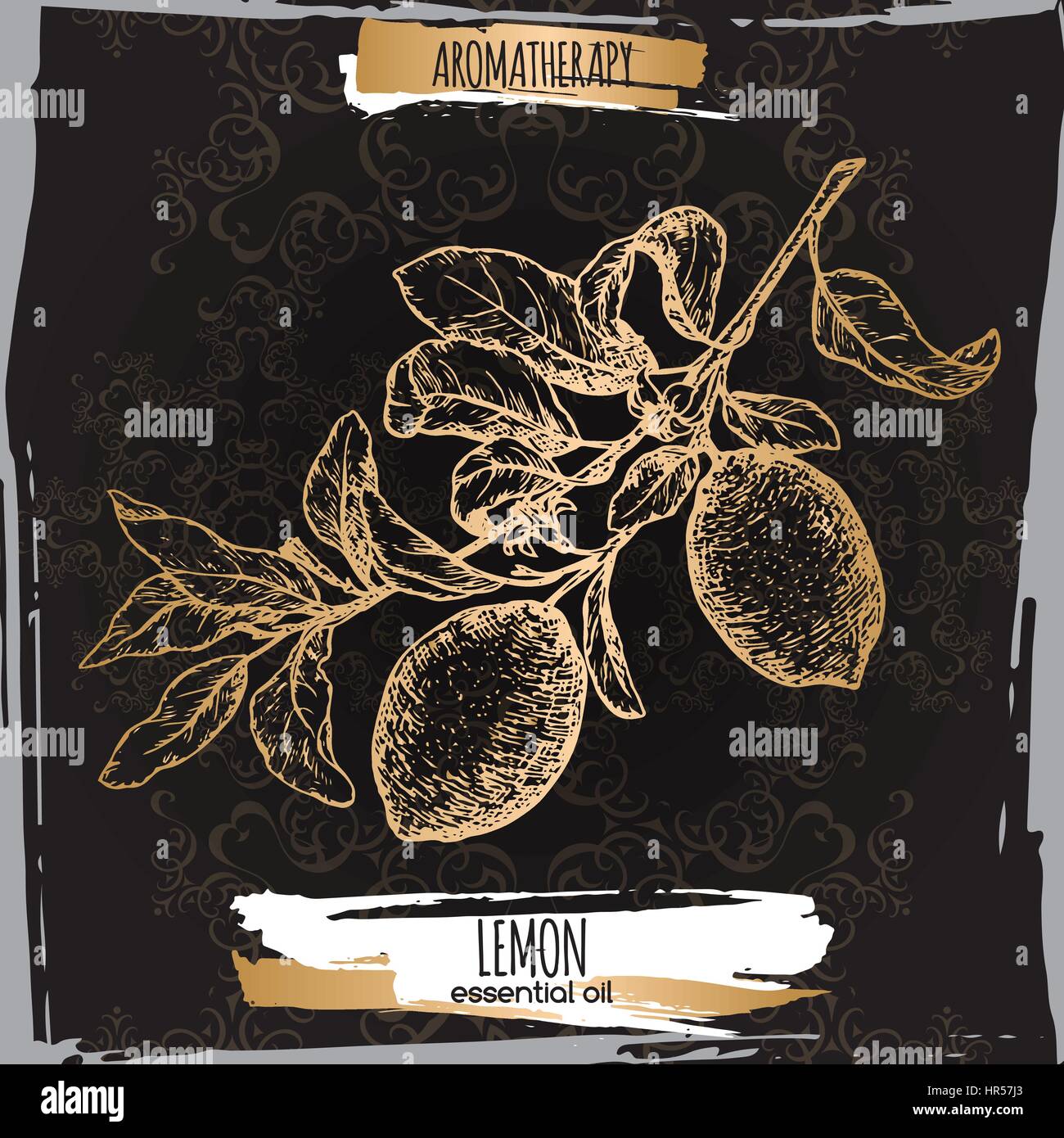 Citrus limon aka lemon branch sketch on elegant black lace background