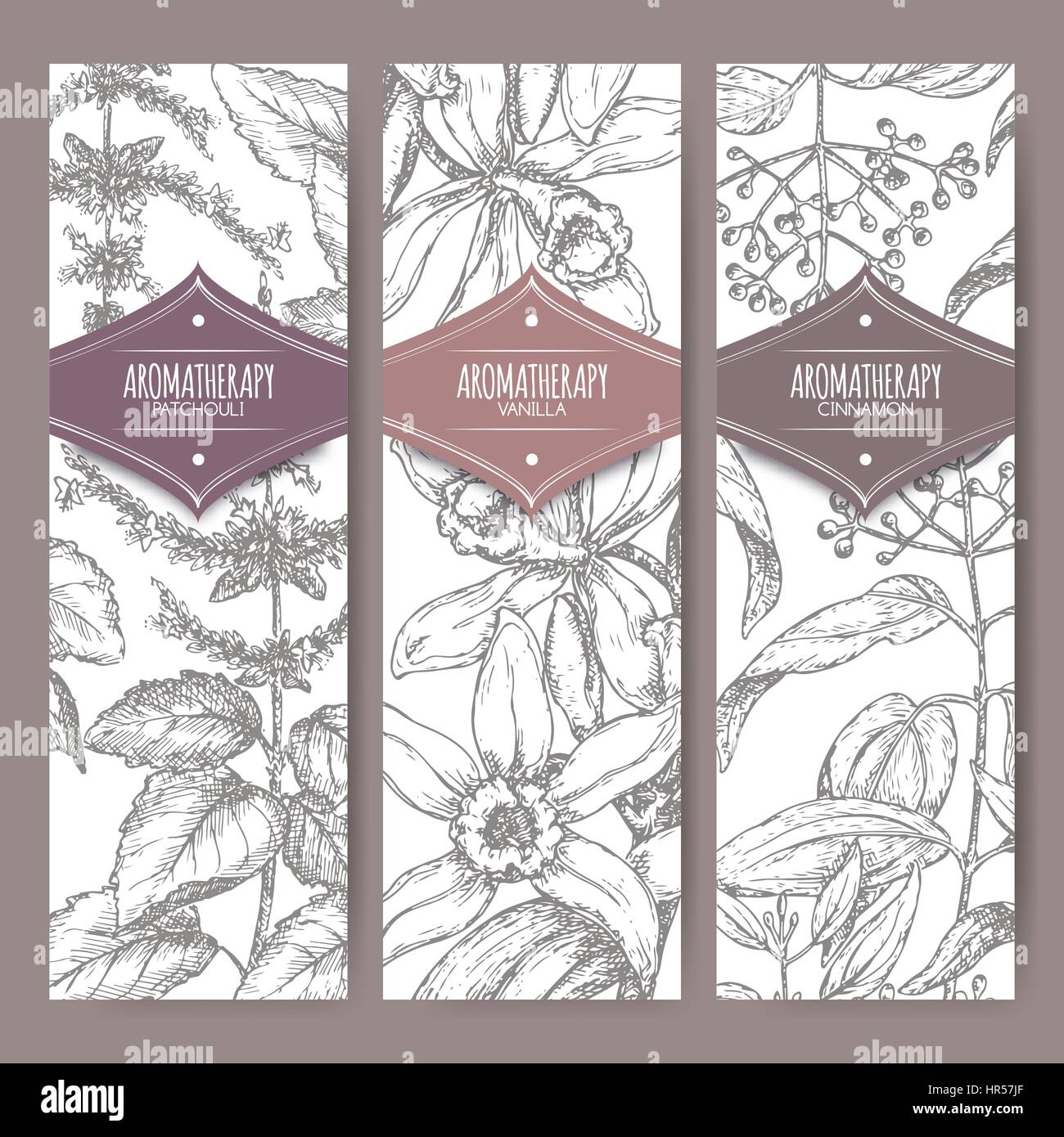 Set of three labels with patchouli, vanilla and cinnamon. Stock Vector