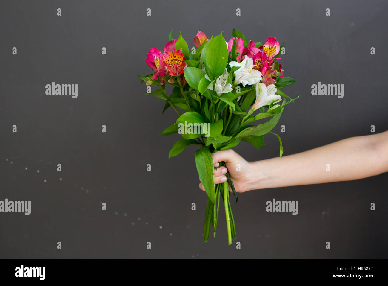 Holding fresh flowers with space on grey wall Stock Photo Alamy