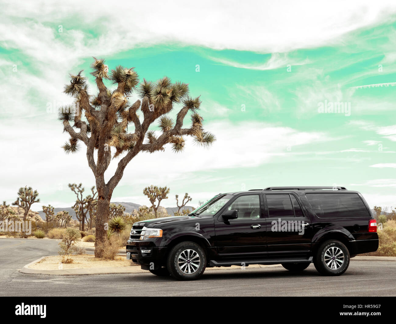 Ford Expedition in Joshua Tree National Park CA Stock Photo